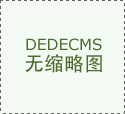 完美汽车芯片安全产物系统